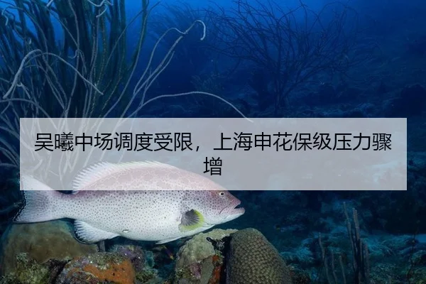 吴曦中场调度受限，上海申花保级压力骤增